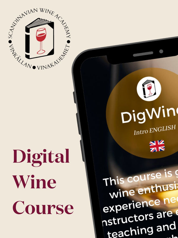 Online Course - Intro to the world of wine by  Scandinavian Wine Academy